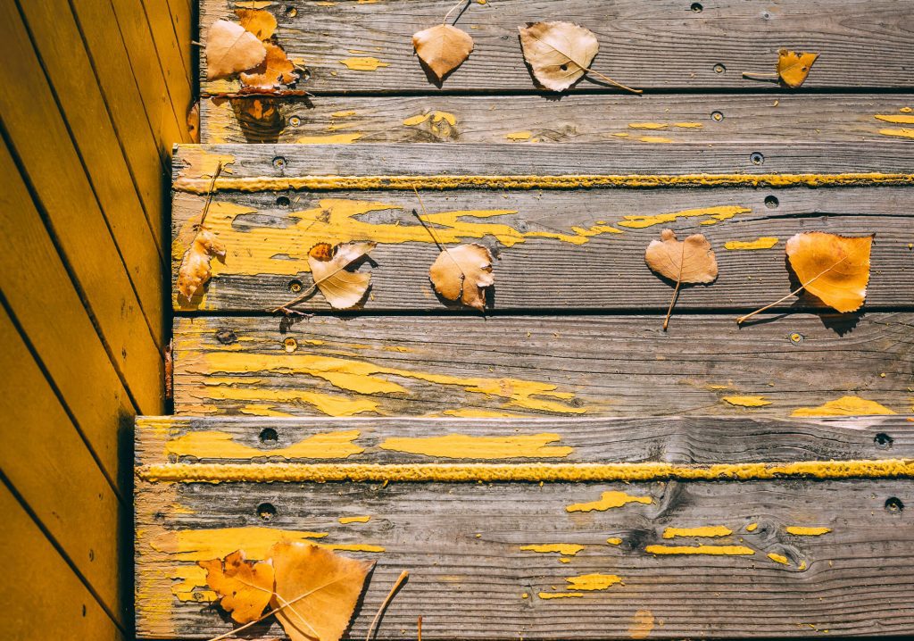 Leaves on weathered paint on the De Luchtsingel bridge - Rotterdam, Netherlands