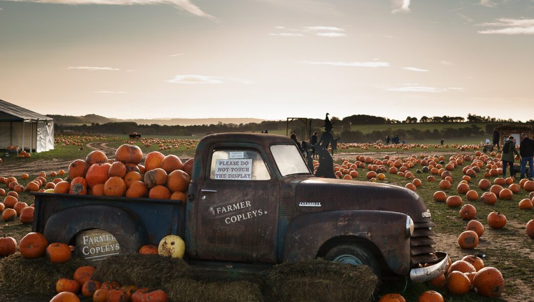 Farmer Copleys Pumpkin Experience has over 130,000 pumpkins!
