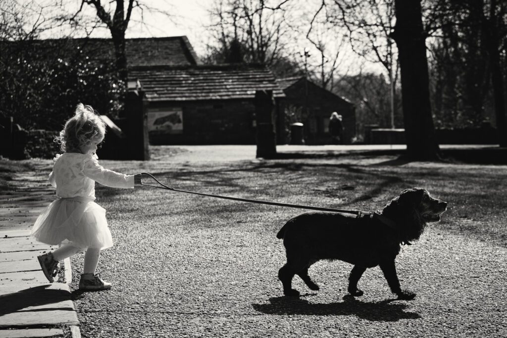 Backlit photo of a young girl with a dummy walking a dog