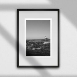 "LONGSTONE LIGHTHOUSE WITH SEALS" Giclée Fine Art Print, Farne Islands, Northumberland