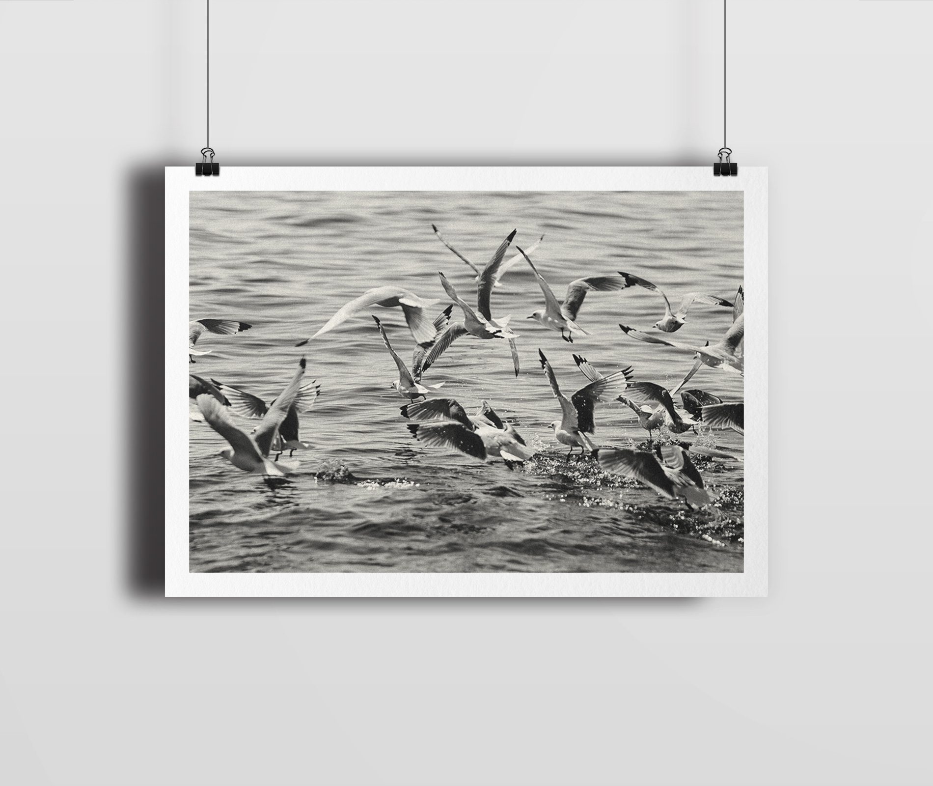 "TAKEOFF" Giclée Fine Art Print, Farne Islands, Northumberland (Hanging)
