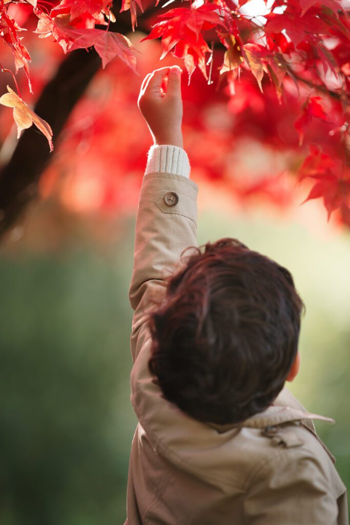 Use of light and colour to reinforce mood in storytelling photography