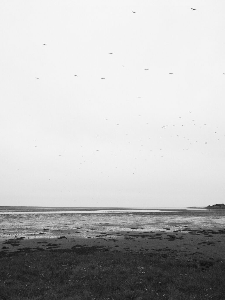 Northumberland coast in black and white - Show on Fujifilm X100VI