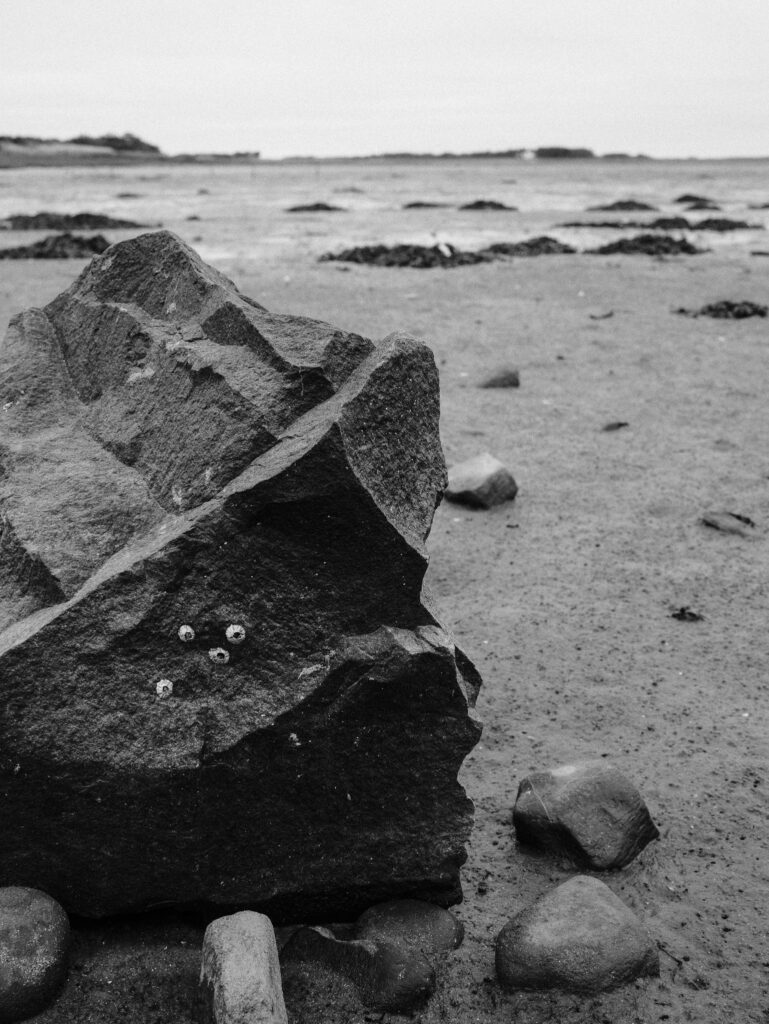 Northumberland coast in black and white - Show on Fujifilm X100VI