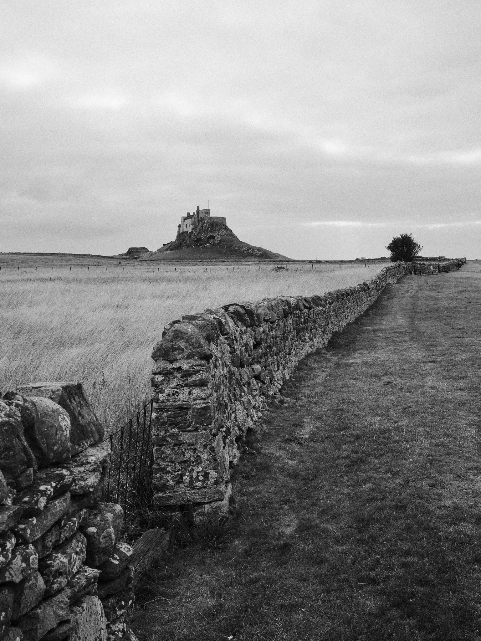 Northumberland coast in black and white - Show on Fujifilm X100VI