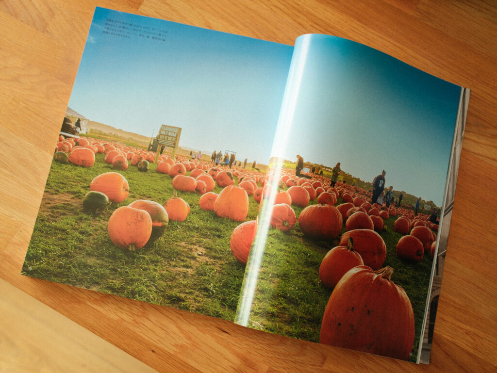 Feature double page spread in KATEIGAHO magazine