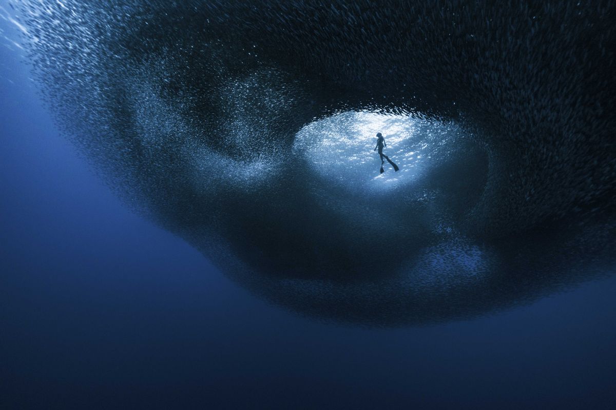 ©️ Ben Yávar / Ocean Photographer of the Year