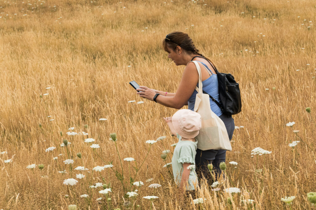Big Butterfly Count and Wildlife Walk as part of Leeds Wild Spaces Project