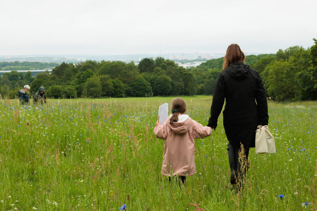 Wild Flower and Insect Identification as part of the Leeds Wild Spaces Project